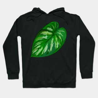 Philodendron 'Plowmanii' Hoodie